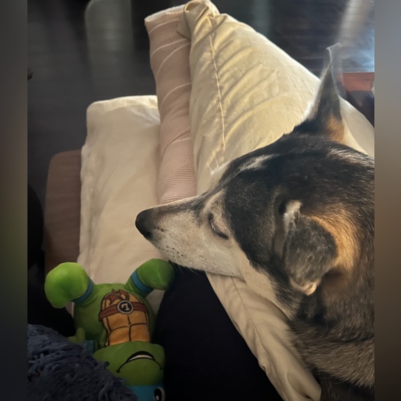 🩼I’m Broke Show Flyer🩼 - Picture 4 of 5